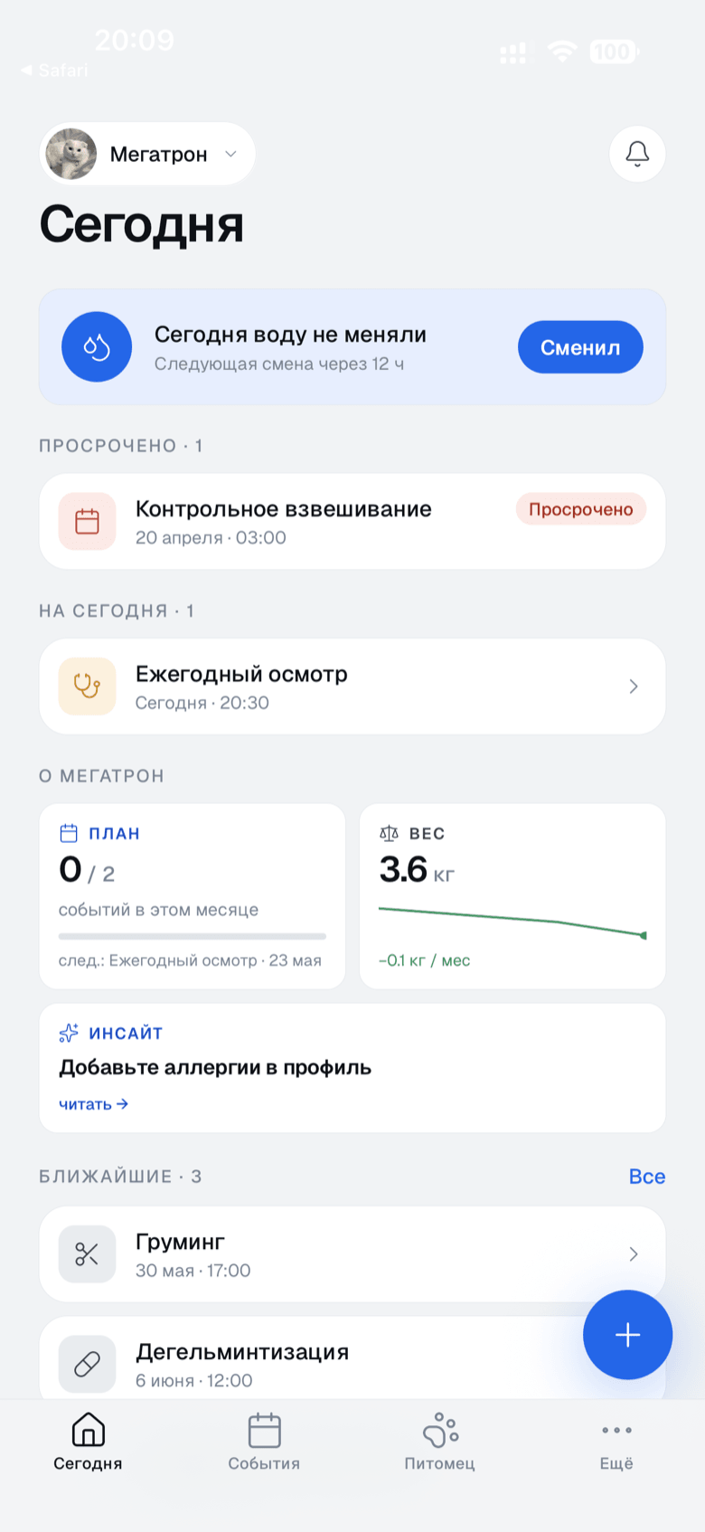 Экран «Сегодня» приложения Platera